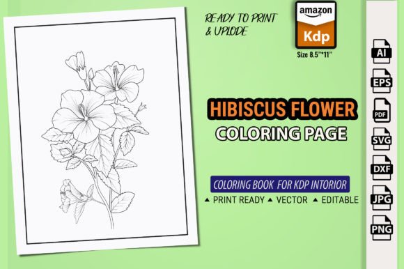 Download Hibiscus Flowers China Rose Color Books - K Collection