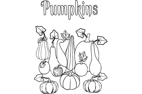 Download Pumpkin Coloring Page 1 - K Collection