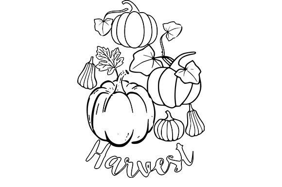 Download Pumpkin Colouring Page 3 . - K Collection